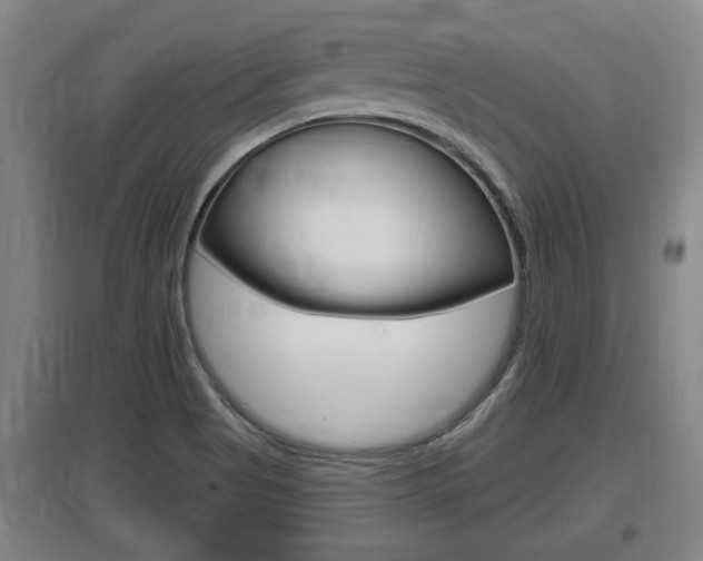 X0000095961513200801110934