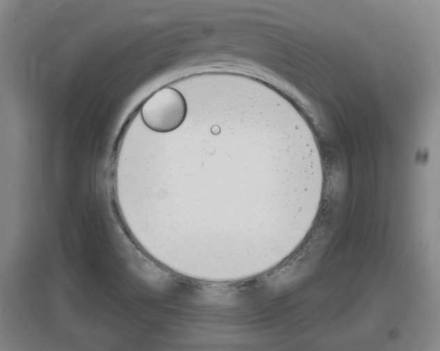 X0000095961514200801110934