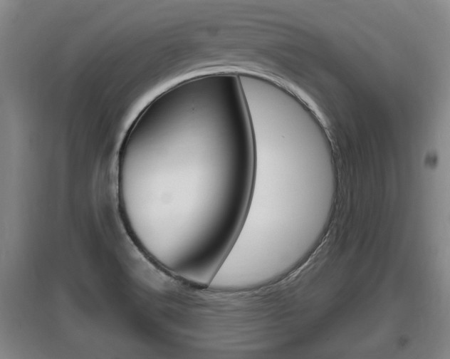 X0000095961516200801110934