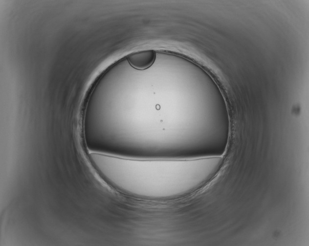 X0000095961517200801110934