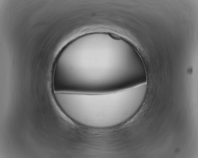 X0000095961518200801110934