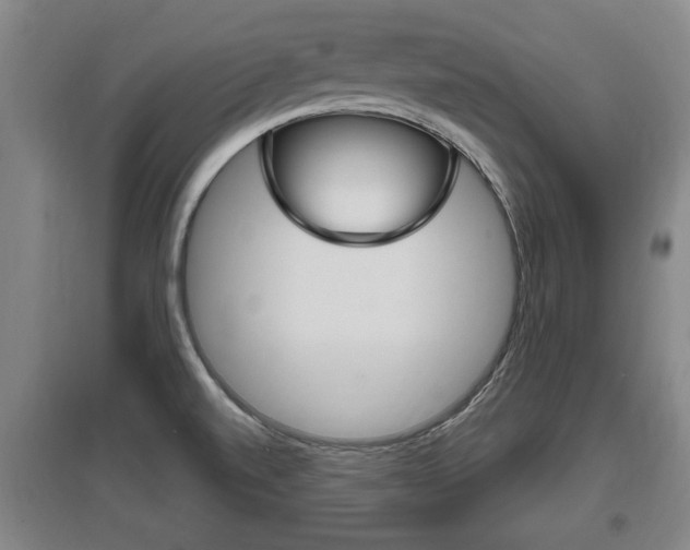 X0000095961520200801110934