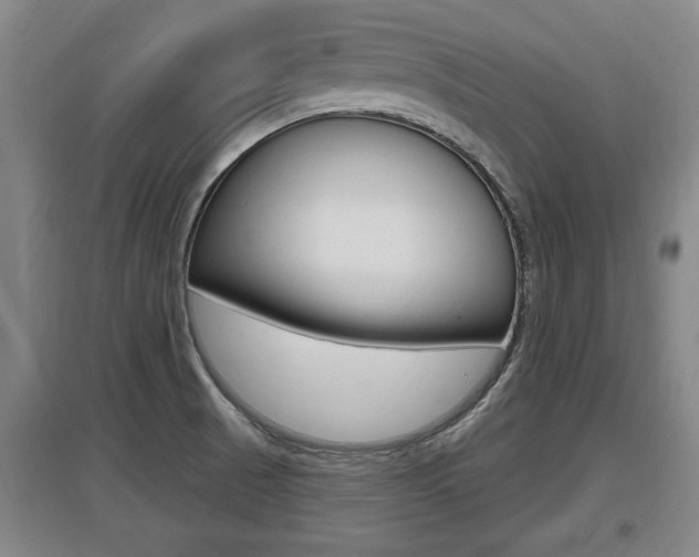 X0000095961521200801110934