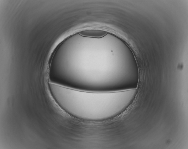 X0000095961522200801110934
