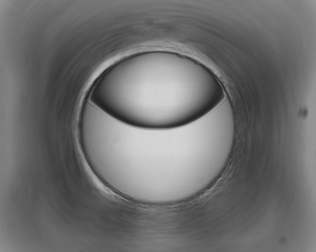 X0000095961523200801110934