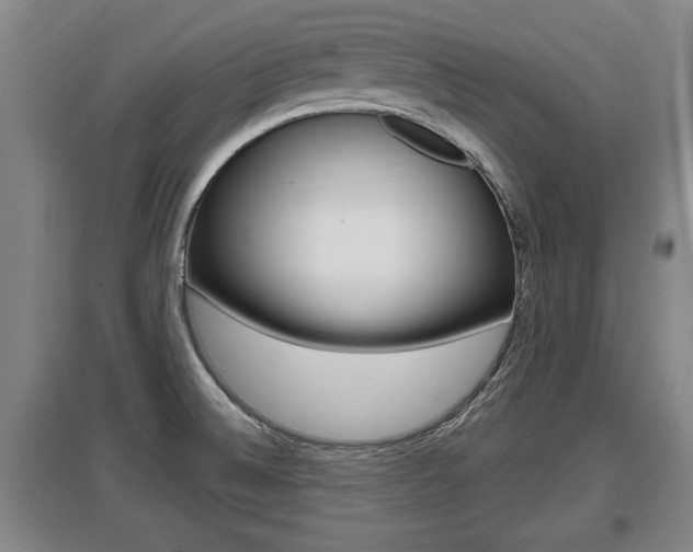 X0000095961524200801110934