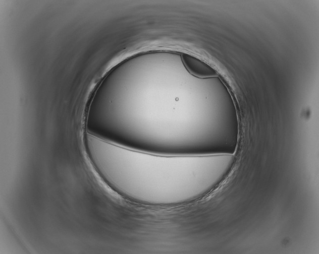 X0000095961525200801110934