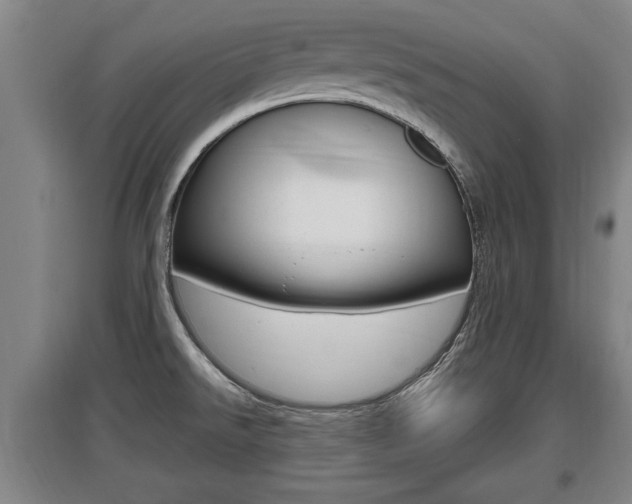 X0000095961526200801110934