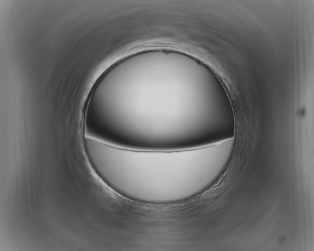 X0000095961527200801110934