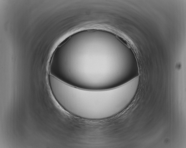 X0000095961528200801110934