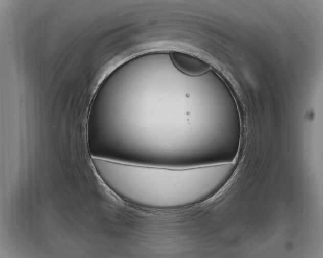 X0000095961529200801110934