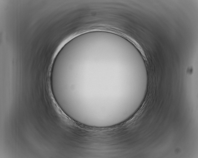 X0000095961530200801110934