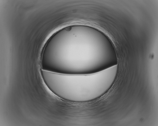 X0000095961531200801110934