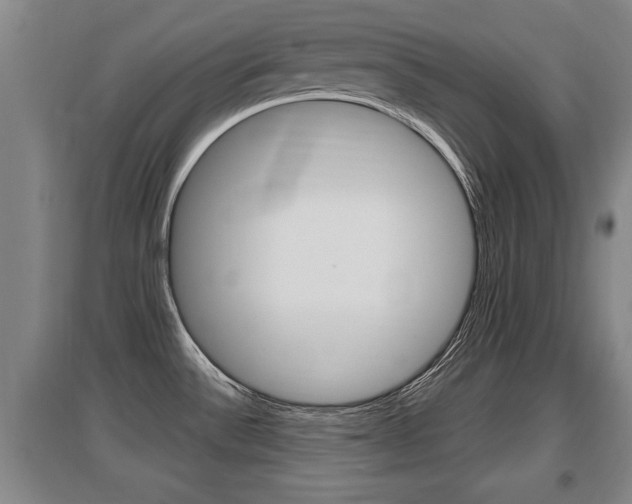 X0000095961532200801110934