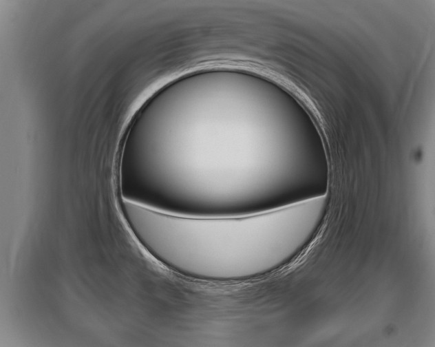 X0000095961533200801110934