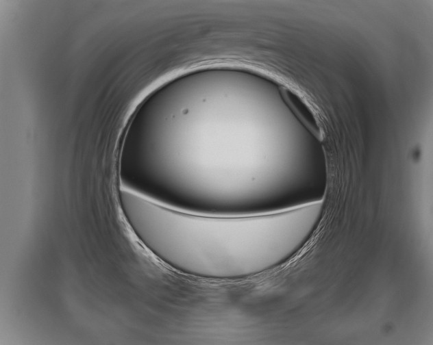 X0000095961534200801110934