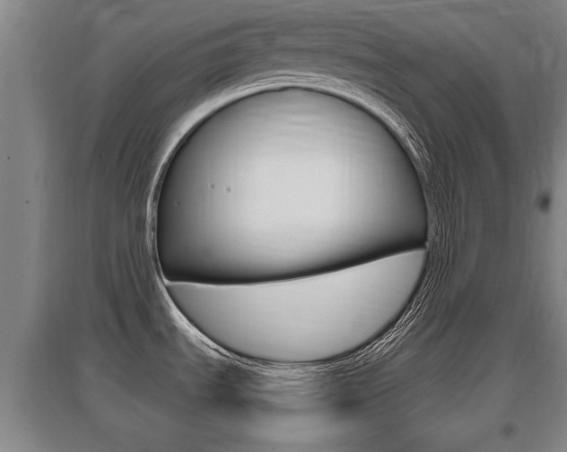X0000095961535200801110934