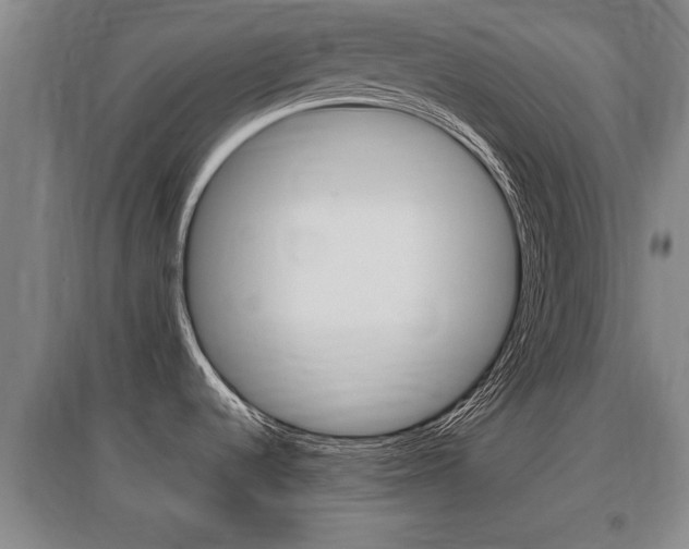 X0000095961536200801110934