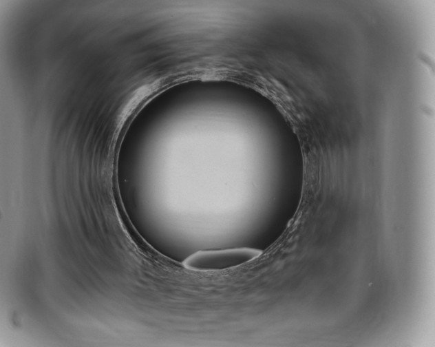 X0000095960003200801111412