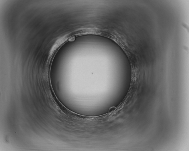 X0000095960004200801111412