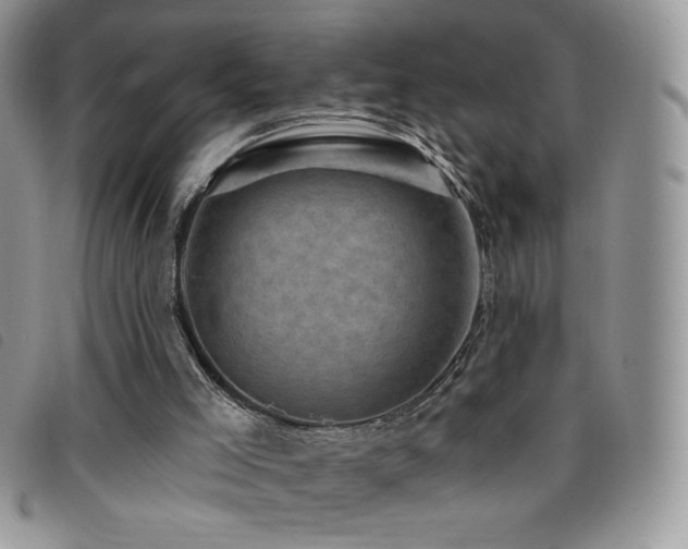 X0000095960005200801111412
