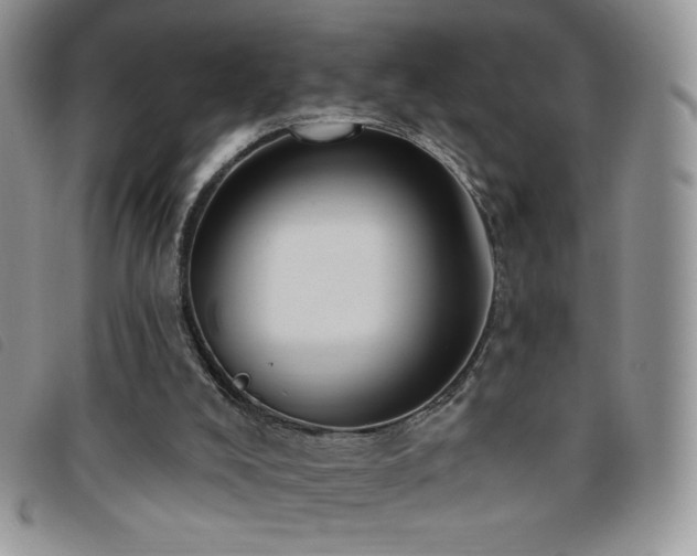 X0000095960008200801111412