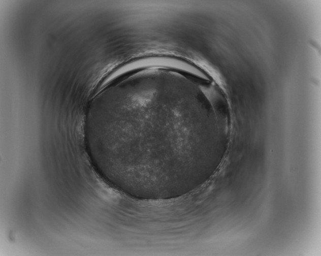 X0000095960009200801111412
