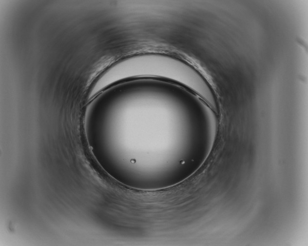 X0000095960010200801111412
