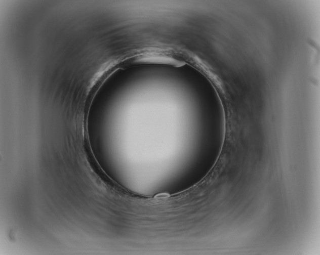X0000095960011200801111412