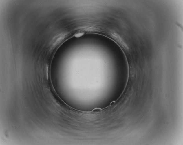 X0000095960014200801111412