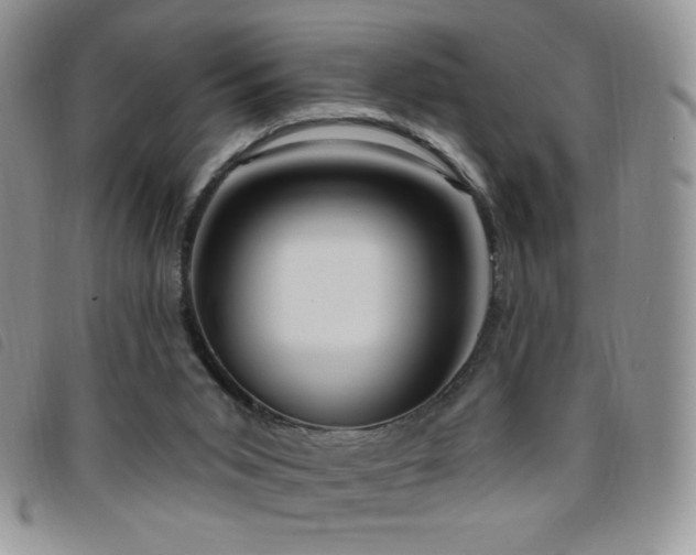 X0000095960015200801111412