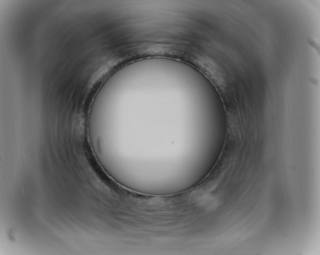 X0000095960016200801111412