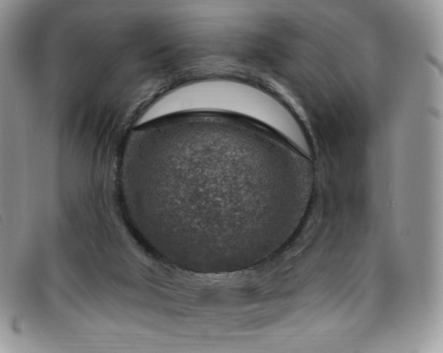 X0000095960018200801111412
