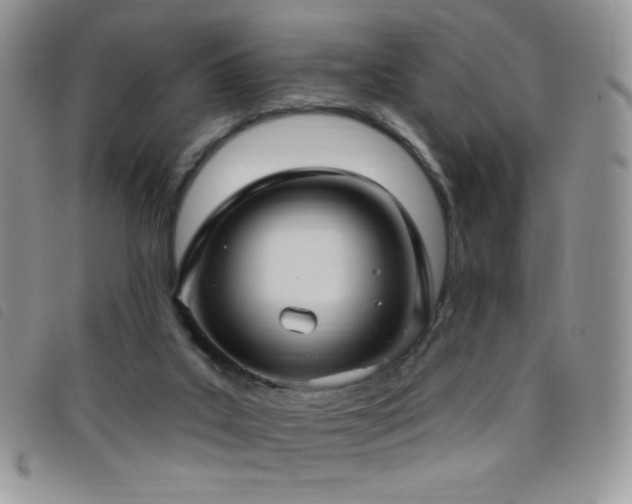 X0000095960019200801111412