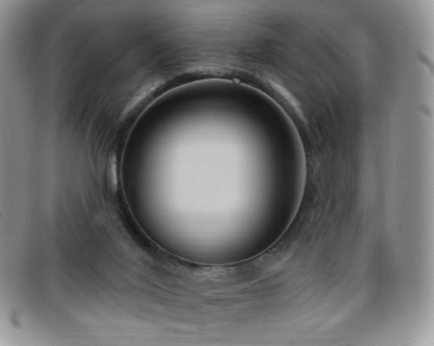 X0000095960020200801111412