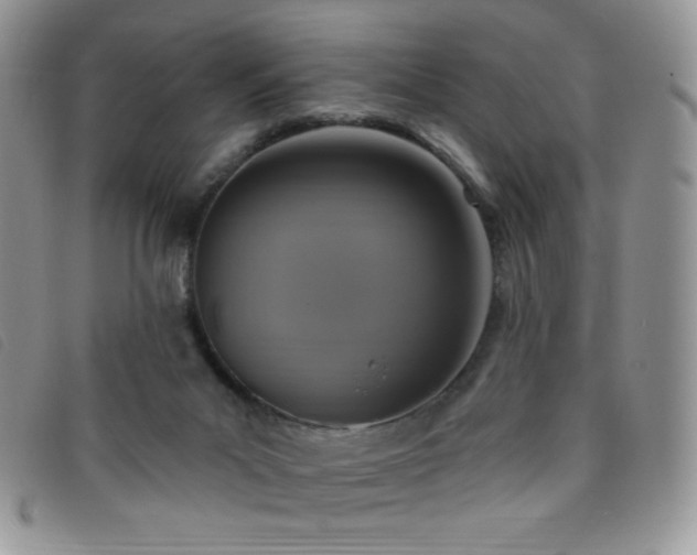 X0000095960023200801111412