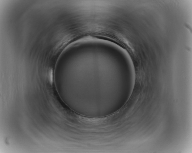 X0000095960027200801111412