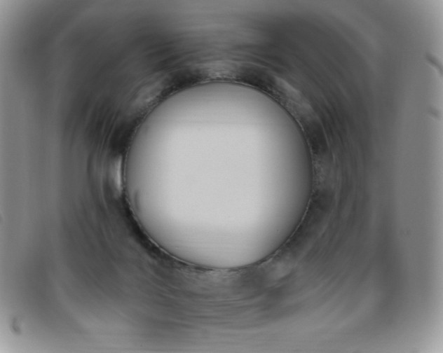 X0000095960028200801111412