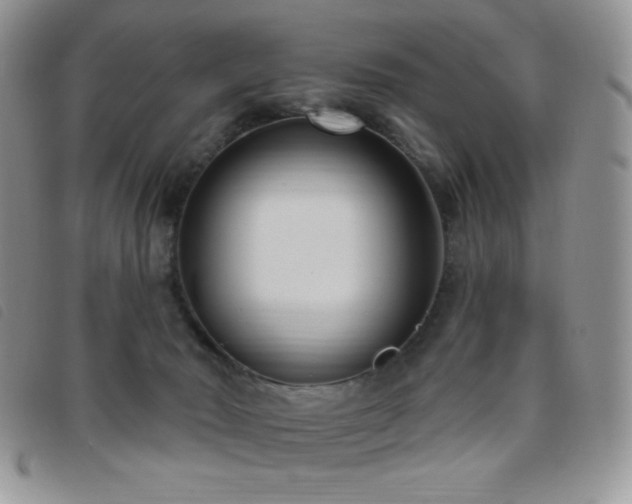 X0000095960030200801111412