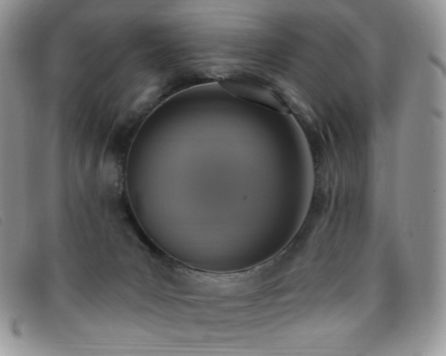 X0000095960031200801111412