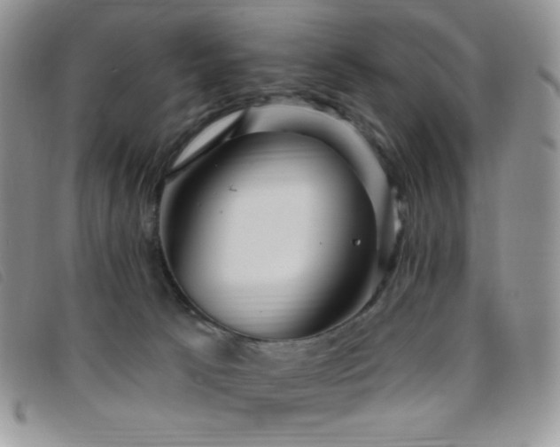 X0000095960033200801111412