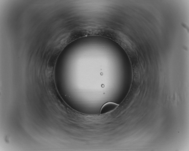 X0000095960034200801111412