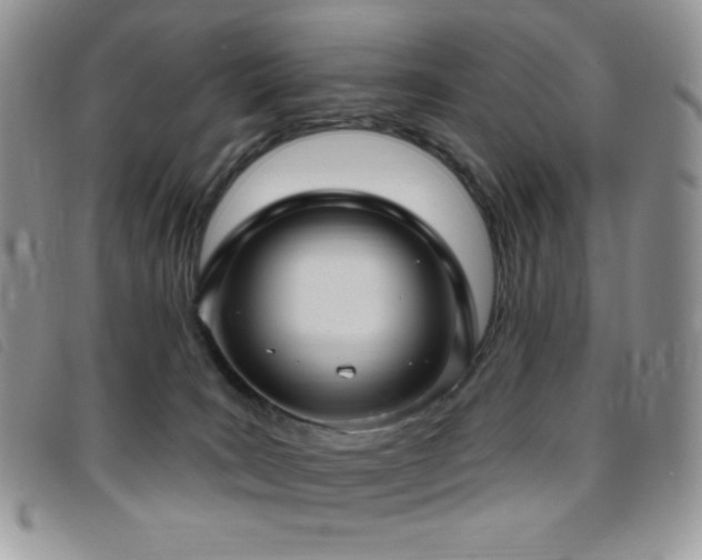 X0000095960035200801111412