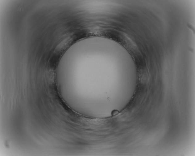 X0000095960036200801111411