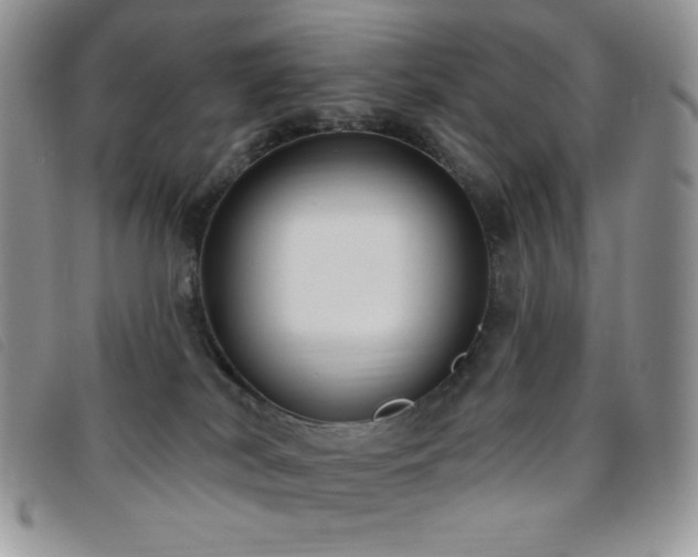X0000095960038200801111411