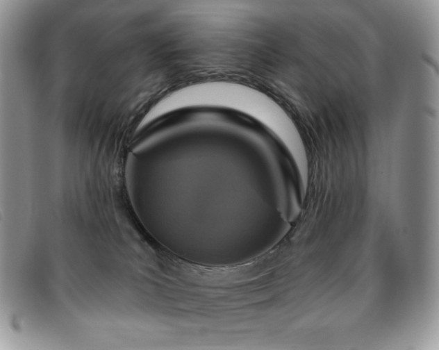 X0000095960039200801111411