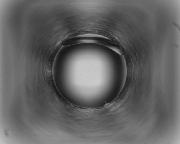 X0000095960040200801111411