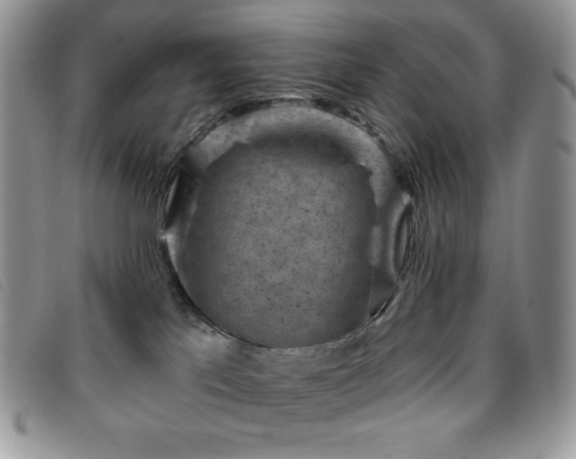 X0000095960041200801111411
