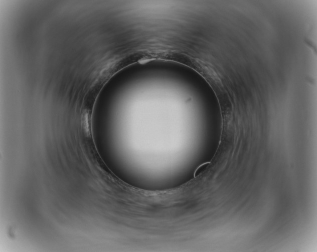 X0000095960042200801111411