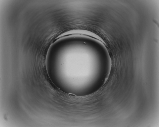 X0000095960043200801111411
